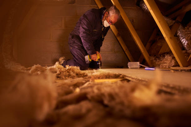 Best Geographic-Specific Insulation Services in North Platte, NE